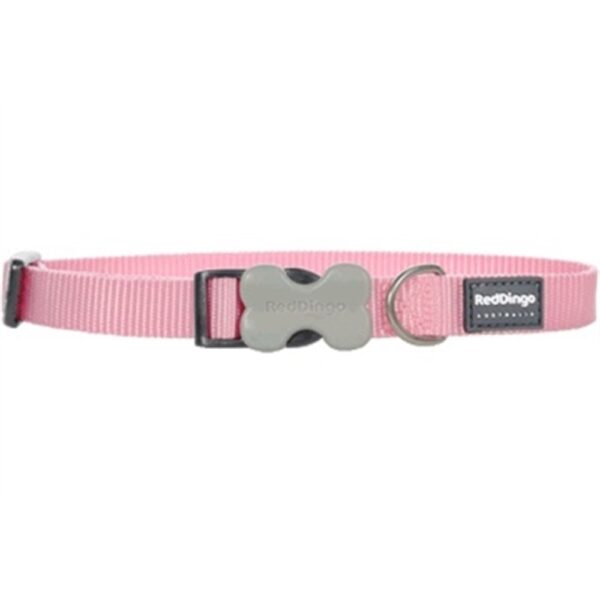 Red Dingo Collar Rosado De Nylon Pequeño Para Perros 8"