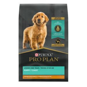 Purina Pro Plan Focus Puppy Alimento Para Cachorros De Pollo 6lb/2.7kg