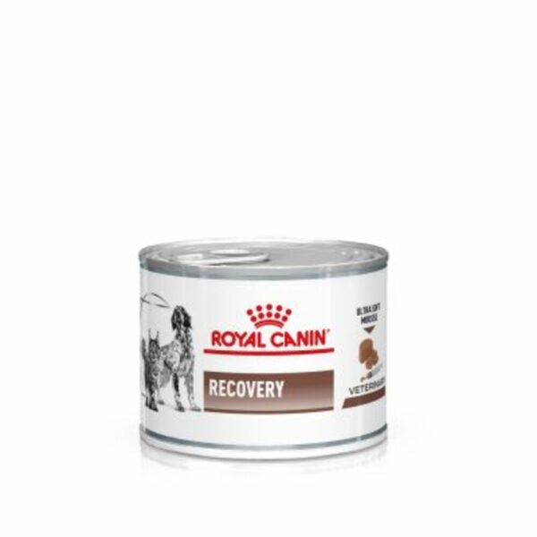 Royal Canin Recovery Alimento Humedo Para Perros Y Gatos 195gr