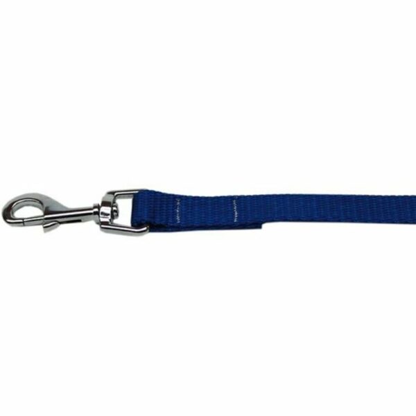 Mirage Correa Azul De Nylon Para Perros 6'