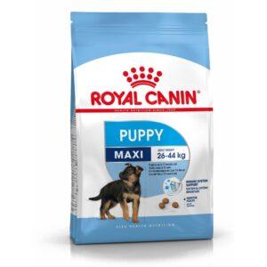 Royal Canin Maxi Puppy Alimento Para Cachorros De Raza Grande 4kg/8.8lb