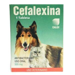 Cefalexina 500mg Calox Antibiotico de Amplio Espectro para Perros y Gatos 1 tableta