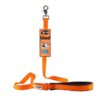 Gogo Correa Naranja de Nylon para Perros 1