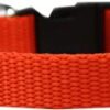 Mirage Collar Rojo Pequeño De Nylon Para Perros 10"