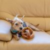 Huxley & Kent Juguete Pretzel De Peluche Para Perros