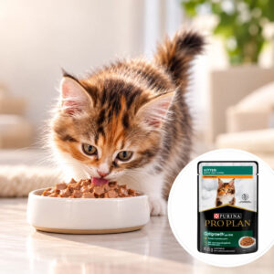 Purina Pro Plan Kitten Optigrowth Alimento Humedo de Pollo para Gatitos 85grs