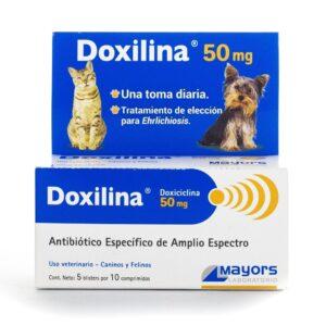 Doxilina 50mg Anatibiotico De Amplio Espectro A Base De Doxiciclina 10 Tabletas