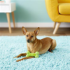 JW Pet iSqueak Bone Dog Toy Hueso de Goma Verde