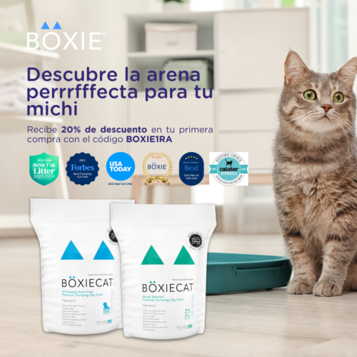 boxiecat arena aglutinante para gatos