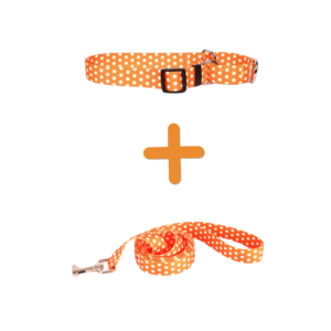 Yellow Dog Design Collar + Correa Para Perros Naranja