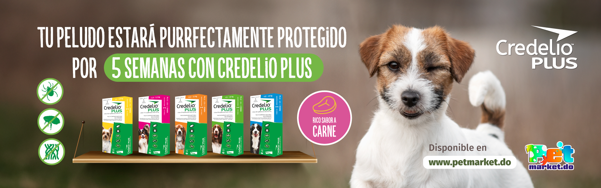 Credelio Plus protege a tu mascota de las pulgas y garrapatas.