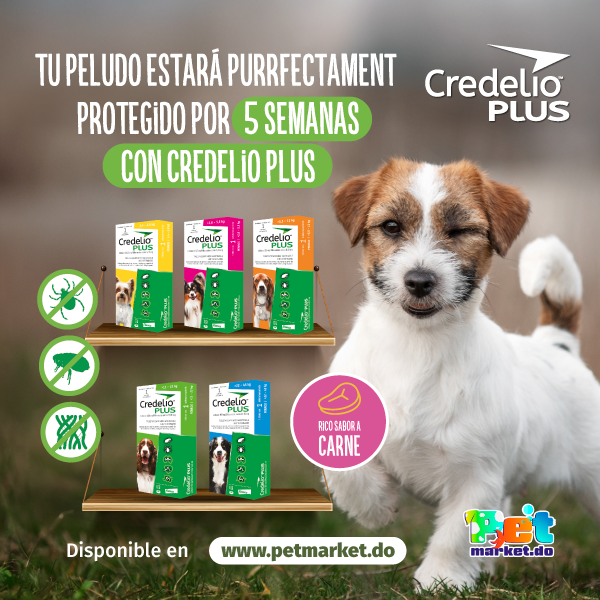 Credelio Plus protege a tu mascota de las pulgas y garrapatas.
