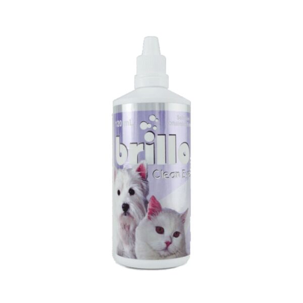 BRILLO_CLEAN_EYES