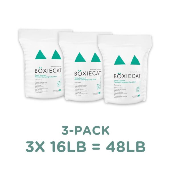 Boxiecat Arena Aglomerante Con Fragancia