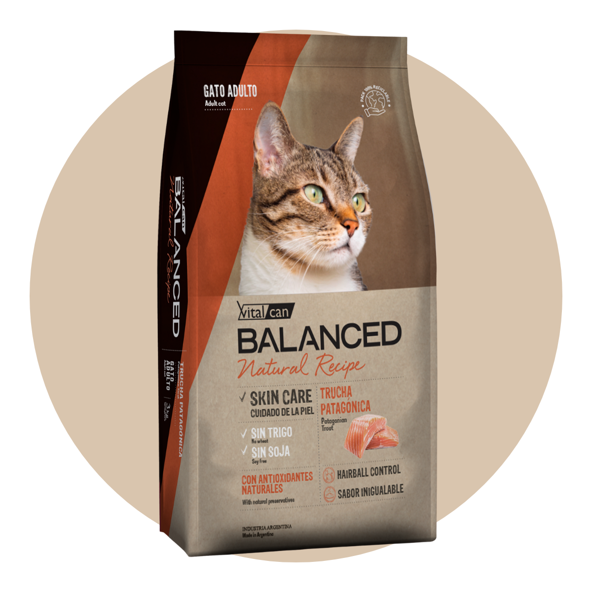 balanced-natural-recipe-gatos