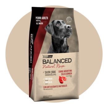 balanced-natulal-recipe-perros