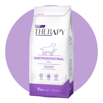 vitalcan-therapy-perros