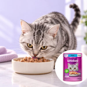 Whiskas Atun Alimento Húmedo Para Gatos 85gr