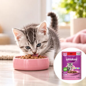 Whiskas Res Alimento Húmedo Para Gatitos 85gr